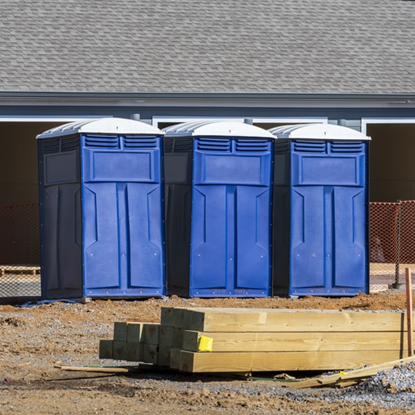 are there different sizes of portable restrooms available for rent in Lower Peach Tree